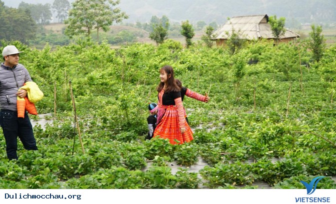 Check-in sống ảo, tại sao không ? Check-in sống ảo, tại sao không ?