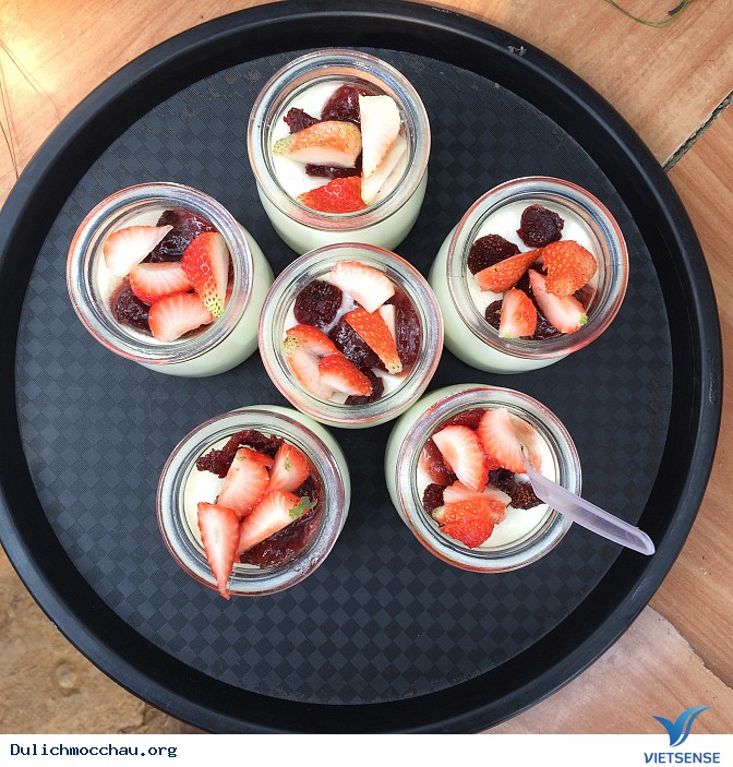 Những hình ảnh về Chimi Farm - Ảnh 2 Những hình ảnh về Chimi Farm - Ảnh 2