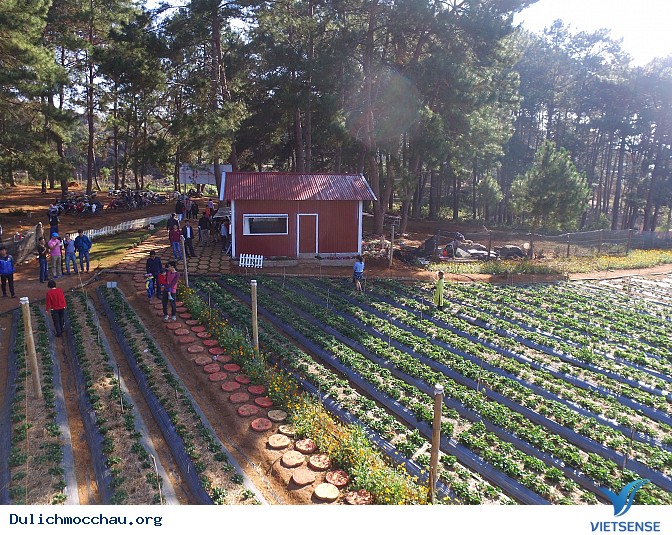 Địa chỉ của Chimi ? Địa chỉ của Chimi ?