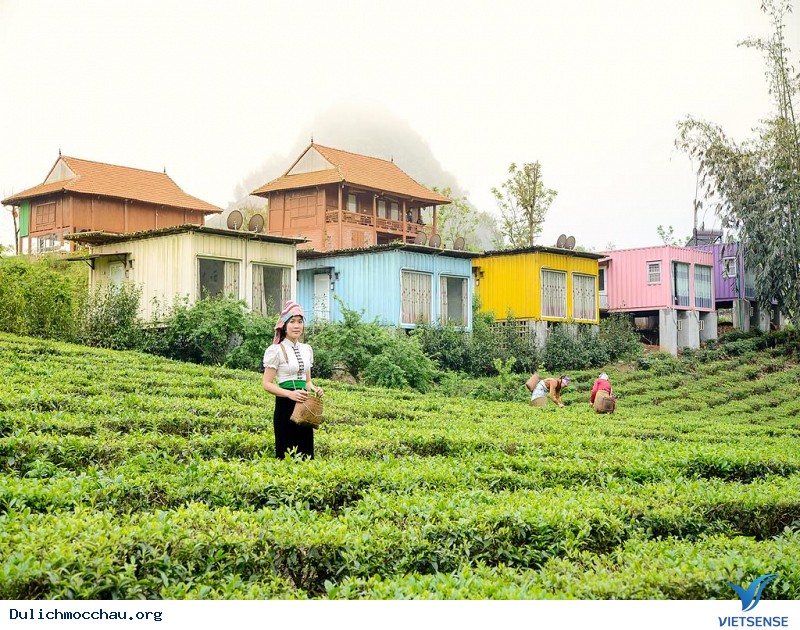 Bạn đã biết tới Chiềng Đi – Mộc Châu chưa? - Ảnh 2