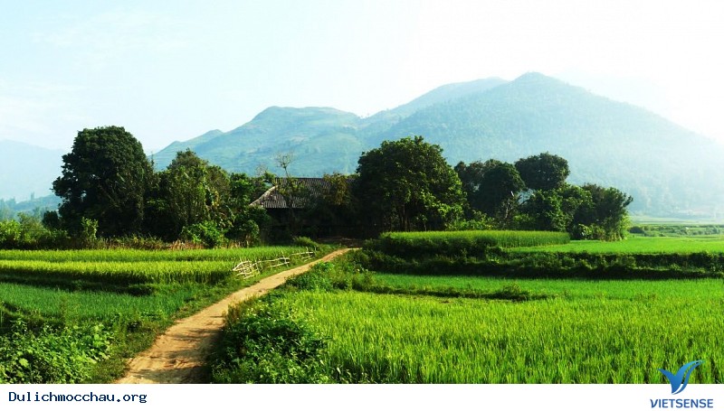 Bạn đã biết tới Chiềng Đi – Mộc Châu chưa? - Ảnh 1