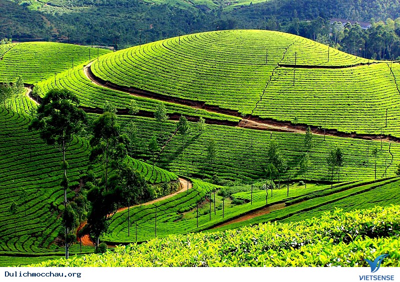 Kinh nghiệm thuê nhà nghỉ - homestay – khách sạn giá rẻ Mộc Châu Kinh nghiệm thuê nhà nghỉ - homestay – khách sạn giá rẻ Mộc Châu