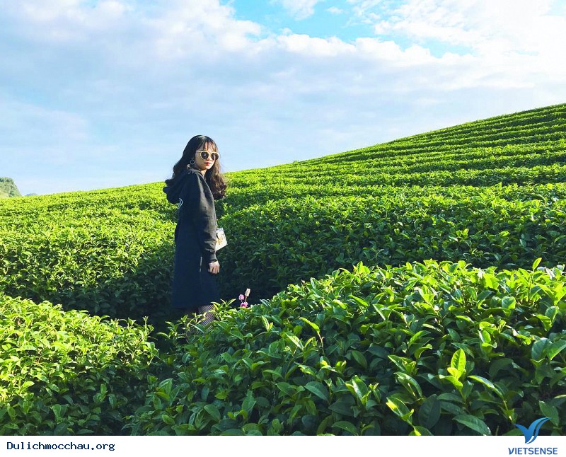 Bình Yên tháng 3 trên xứ Mộc Châu - Ảnh 1 Bình Yên tháng 3 trên xứ Mộc Châu - Ảnh 1