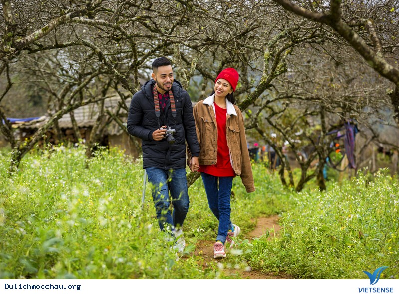 Bình Yên tháng 3 trên xứ Mộc Châu - Ảnh 2 Bình Yên tháng 3 trên xứ Mộc Châu - Ảnh 2