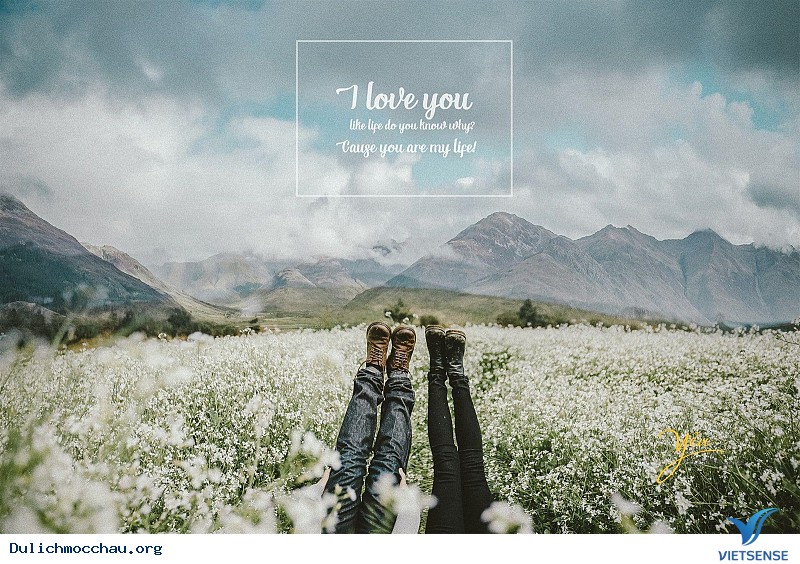 Cảnh đẹp Hoa Cải - Mộc Châu - Ảnh 10