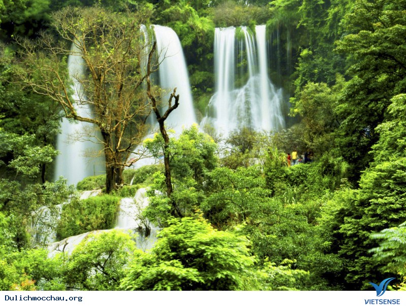Đi tìm sắc trắng Mộc Châu trong những ngày Tết đến - Ảnh 3 Đi tìm sắc trắng Mộc Châu trong những ngày Tết đến - Ảnh 3