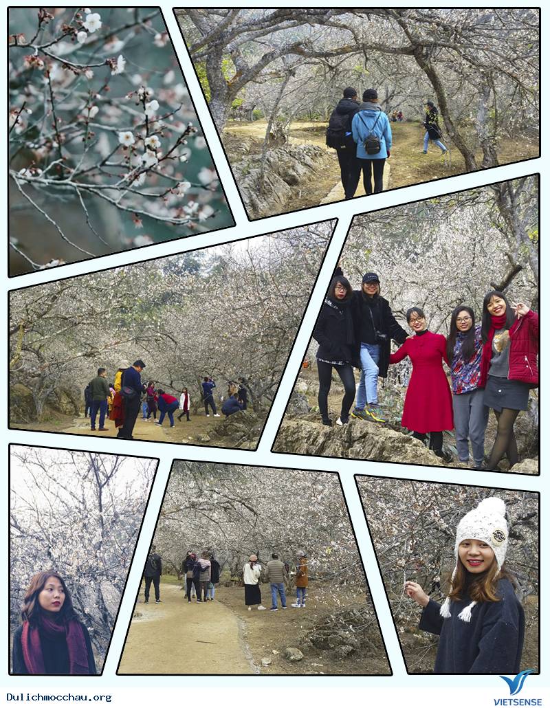 Đón tết dương lịch trên Mộc Châu mấy ngày là đẹp - Ảnh 1