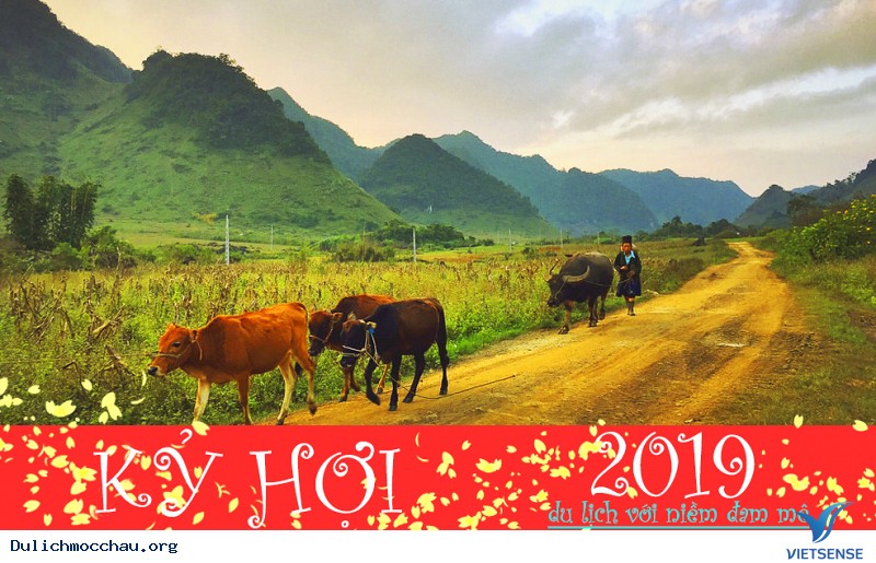 Lên Mộc Châu du xuân đón Tết Dương Lịch ở đâu - Ảnh 1