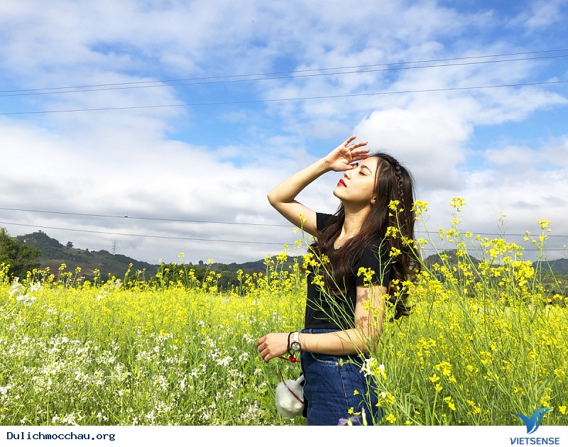 Mộc Châu đẹp cùng 3 thần thái - Ảnh 3