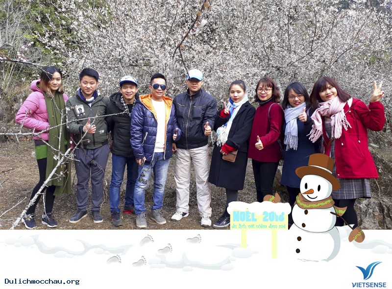 Ngắm mơ ngắm mận trên đất Mộc Châu trong ngày Noel - Ảnh 3