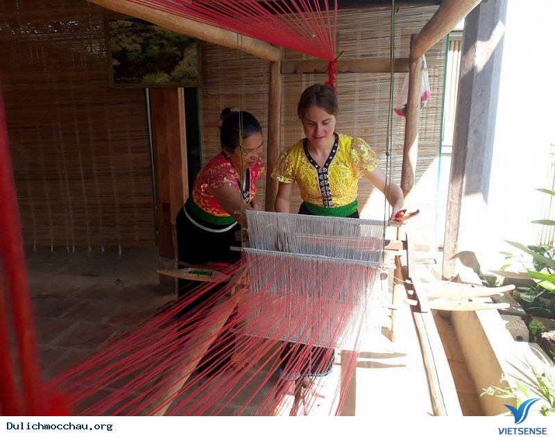 Tháng 11 về với Mộc Châu thơ mộng - Ảnh 4