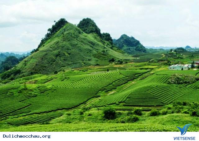 hành trình Mộc Châu dịp lễ 2- 9 - Ảnh 2