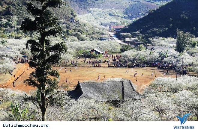 hành trình Mộc Châu- Thung lũng hoa mận - Ảnh 1