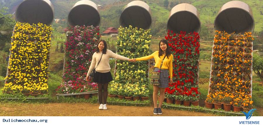 TOUR HÀ NỘI- MAI CHÂU- MỘC CHÂU 3 NGÀY 2 ĐÊM TẾT ÂM LỊCH 2019