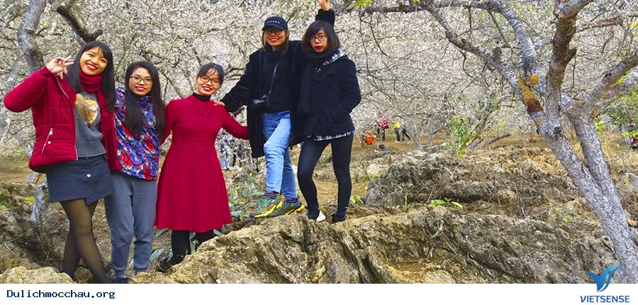 TOUR HÀ NỘI- MAI CHÂU- MỘC CHÂU 3 NGÀY 2 ĐÊM TẾT ÂM LỊCH 2019