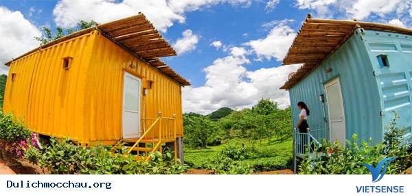 4 Khách Sạn 3 Sao Mới Toanh Giá Rẻ Ở Mộc Châu - Ảnh 1