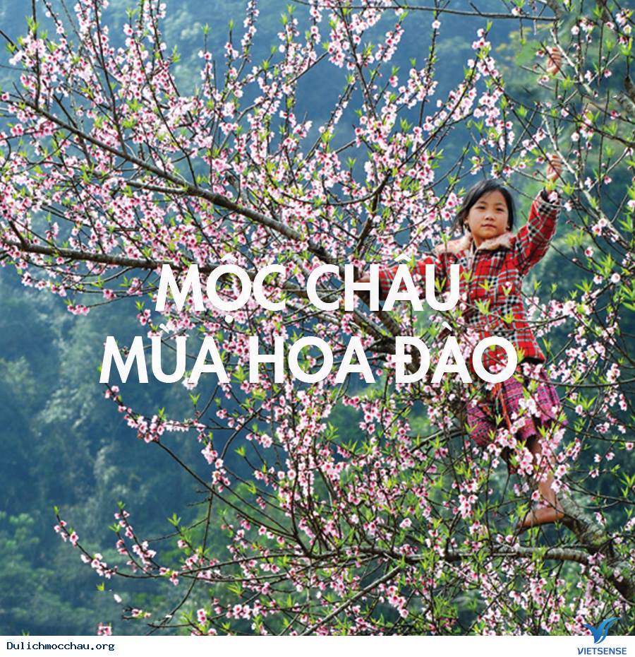 Mùa Hoa Đào