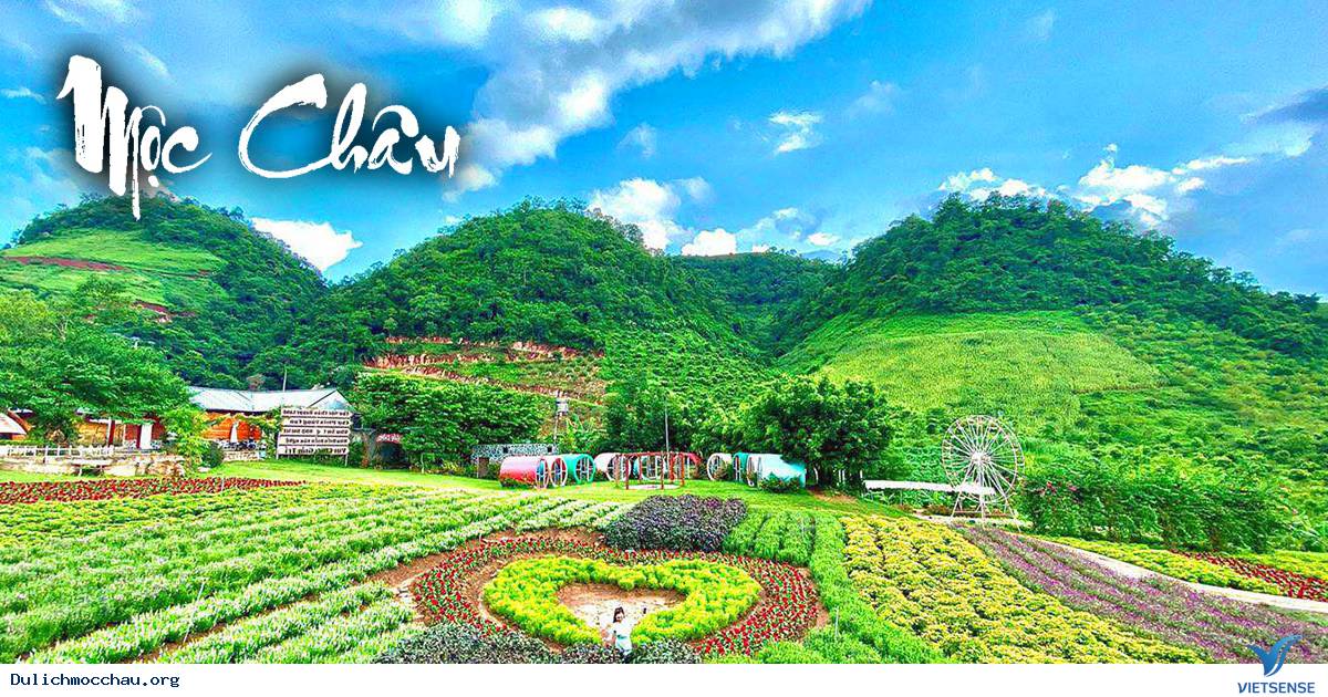 Du Lịch Mộc Châu 2 Ngày 1 Đêm