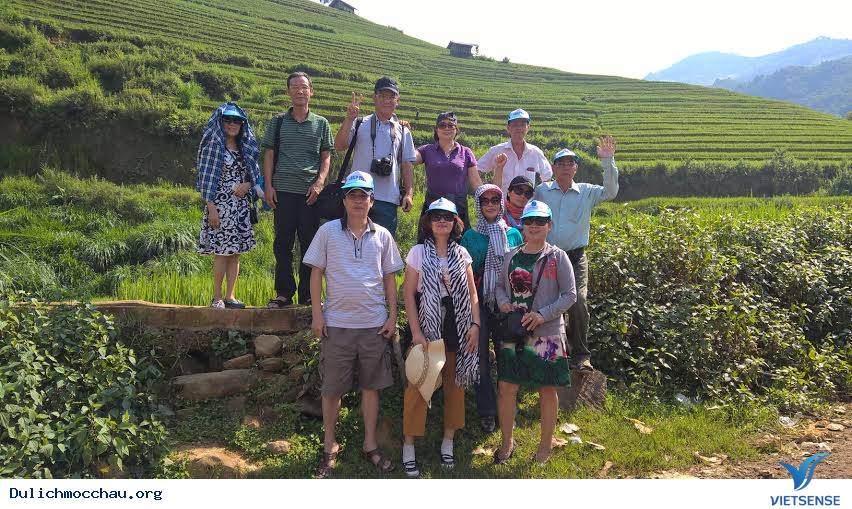 Album Ảnh hành trình Mộc Châu 2015-2016 - Ảnh 10 Album Ảnh hành trình Mộc Châu 2015-2016 - Ảnh 10