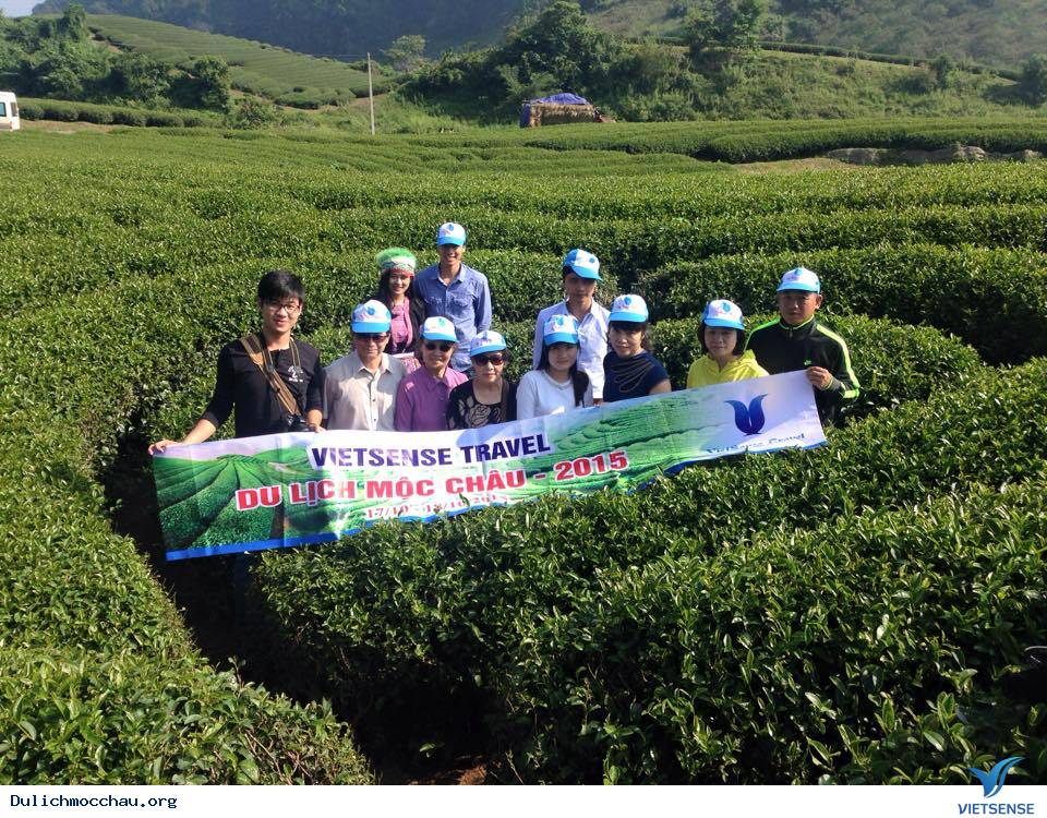 Album Ảnh hành trình Mộc Châu 2015-2016 - Ảnh 4 Album Ảnh hành trình Mộc Châu 2015-2016 - Ảnh 4