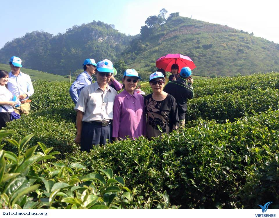 Album Ảnh hành trình Mộc Châu 2015-2016 - Ảnh 5 Album Ảnh hành trình Mộc Châu 2015-2016 - Ảnh 5