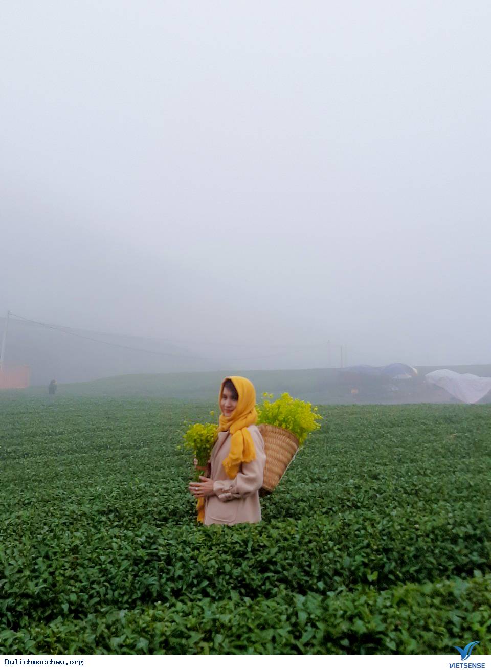 Ảnh Đoàn Khách  hành trình Mộc Châu Mùng 4 Tết - Ảnh 6