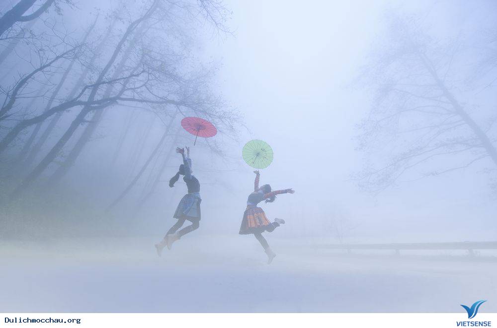 Ảnh hái chè tại Mộc Châu cực hot trên báo chí nước ngoài - Ảnh 4 Ảnh hái chè tại Mộc Châu cực hot trên báo chí nước ngoài - Ảnh 4