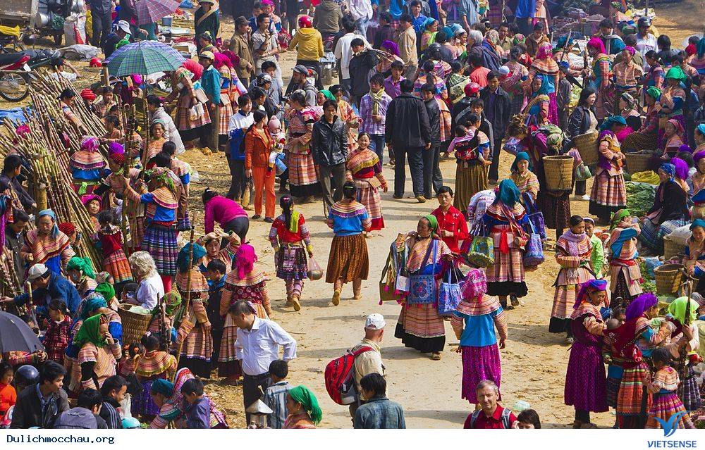 Ảnh hái chè tại Mộc Châu cực hot trên báo chí nước ngoài - Ảnh 7 Ảnh hái chè tại Mộc Châu cực hot trên báo chí nước ngoài - Ảnh 7