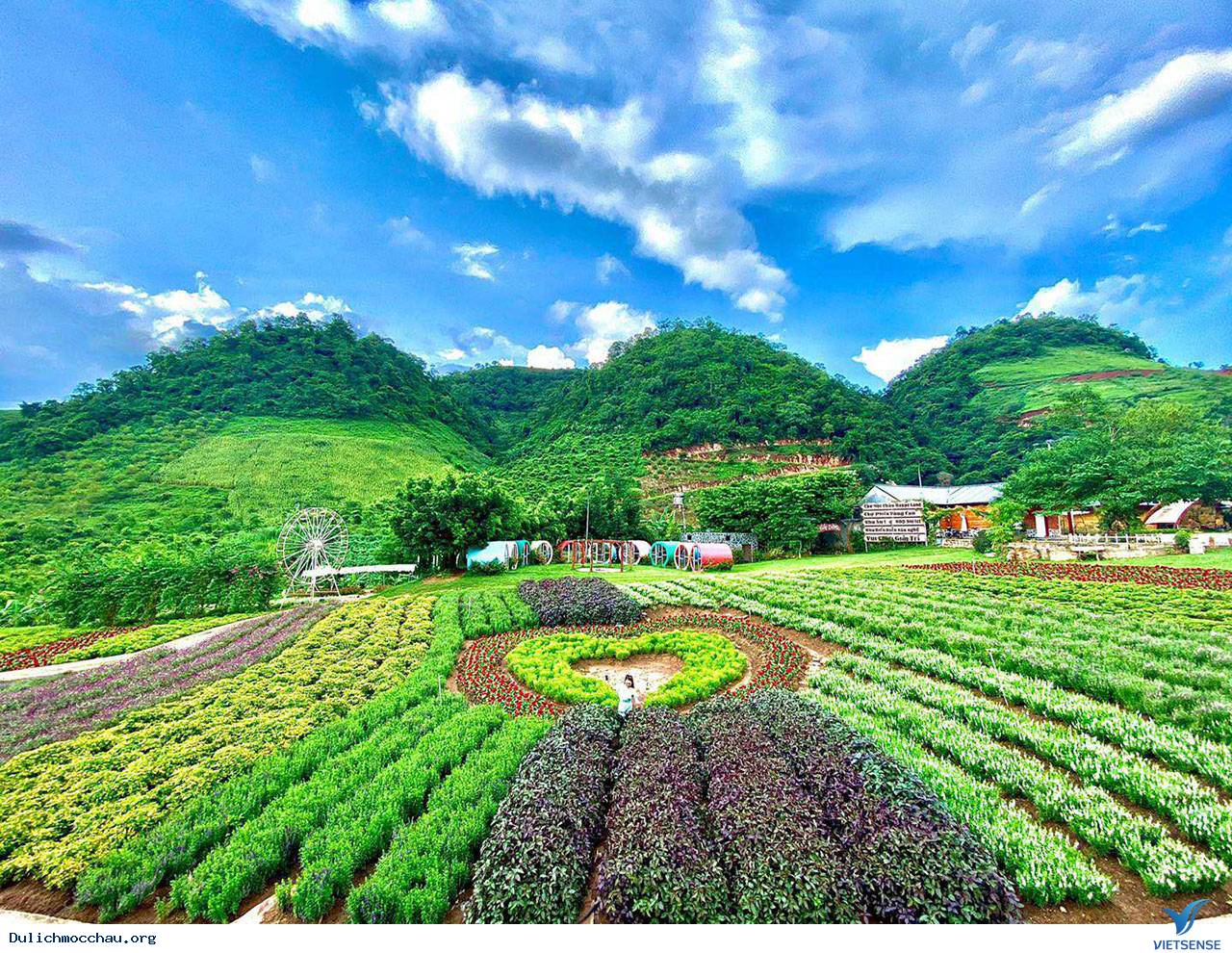 Ba Mục Tiêu Mới Để Phát Triển Du Lịch Mộc Châu - Ảnh 2 Ba Mục Tiêu Mới Để Phát Triển Du Lịch Mộc Châu - Ảnh 2