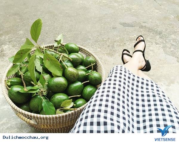 Bạn có cuộc hẹn nào với Mộc Châu vào tháng 9 không? - Ảnh 5