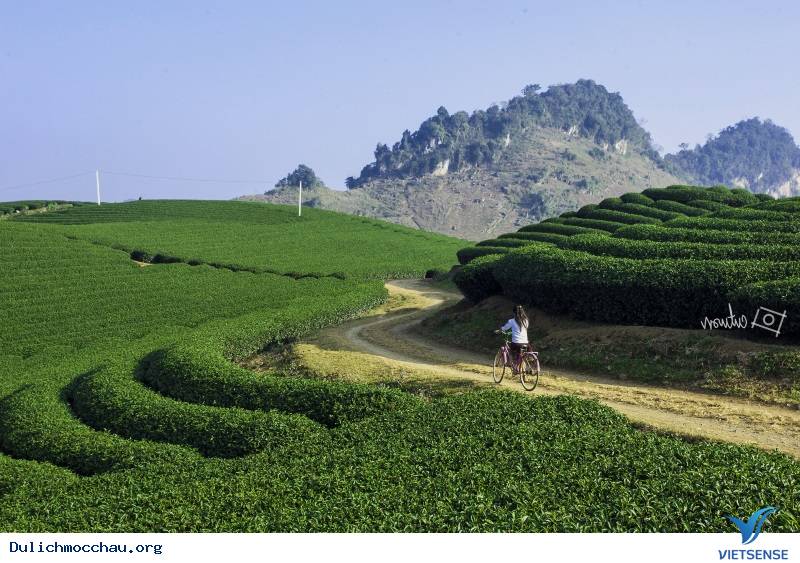 Bạn đã biết tới Chiềng Đi – Mộc Châu chưa? - Ảnh 4