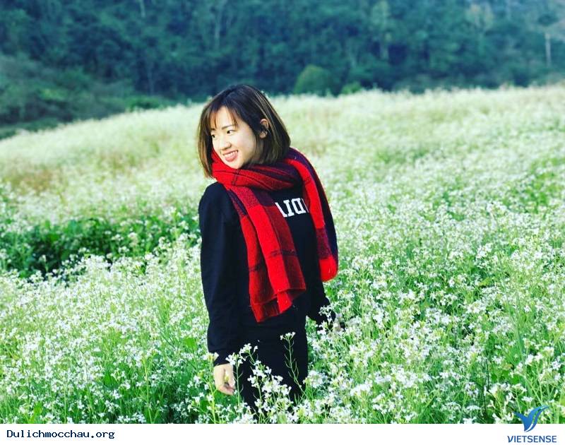 Bí quyết - Kinh Nghiệm chụp ảnh đẹp Hoa Cải Mộc Châu - Ảnh 4