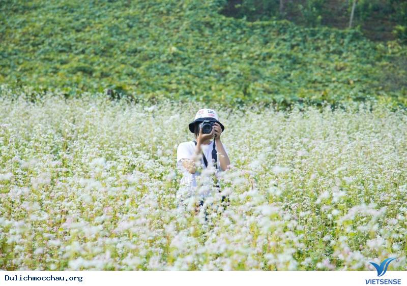 Bí quyết - Kinh Nghiệm chụp ảnh đẹp Hoa Cải Mộc Châu - Ảnh 5