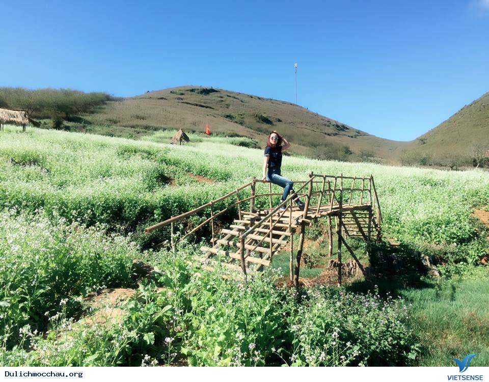 Bí quyết phượt - hành trình giá rẻ vào mùa Hoa Cải - Mộc Châu - Ảnh 1 Bí quyết phượt - hành trình giá rẻ vào mùa Hoa Cải - Mộc Châu - Ảnh 1