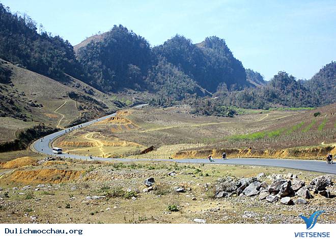 ‘’Bùa yêu’’ mang tên cung đường chữ S tại Mộc Châu - Ảnh 4 ‘’Bùa yêu’’ mang tên cung đường chữ S tại Mộc Châu - Ảnh 4