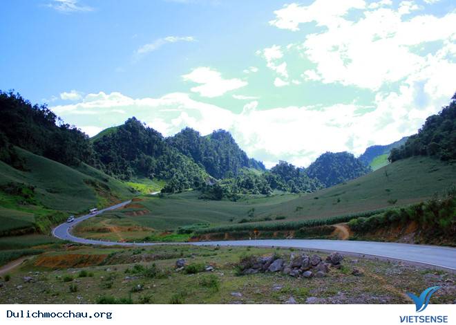 ‘’Bùa yêu’’ mang tên cung đường chữ S tại Mộc Châu - Ảnh 2 ‘’Bùa yêu’’ mang tên cung đường chữ S tại Mộc Châu - Ảnh 2