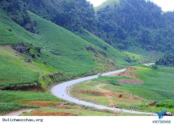 ‘’Bùa yêu’’ mang tên cung đường chữ S tại Mộc Châu - Ảnh 5 ‘’Bùa yêu’’ mang tên cung đường chữ S tại Mộc Châu - Ảnh 5