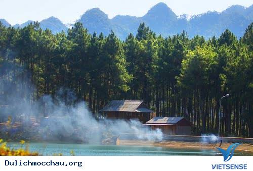 Rừng Thông Bản Áng 