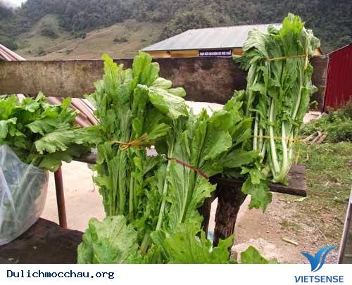 Cải Mèo Chấm Trứng Xì Dầu Mộc Châu - Ảnh 2