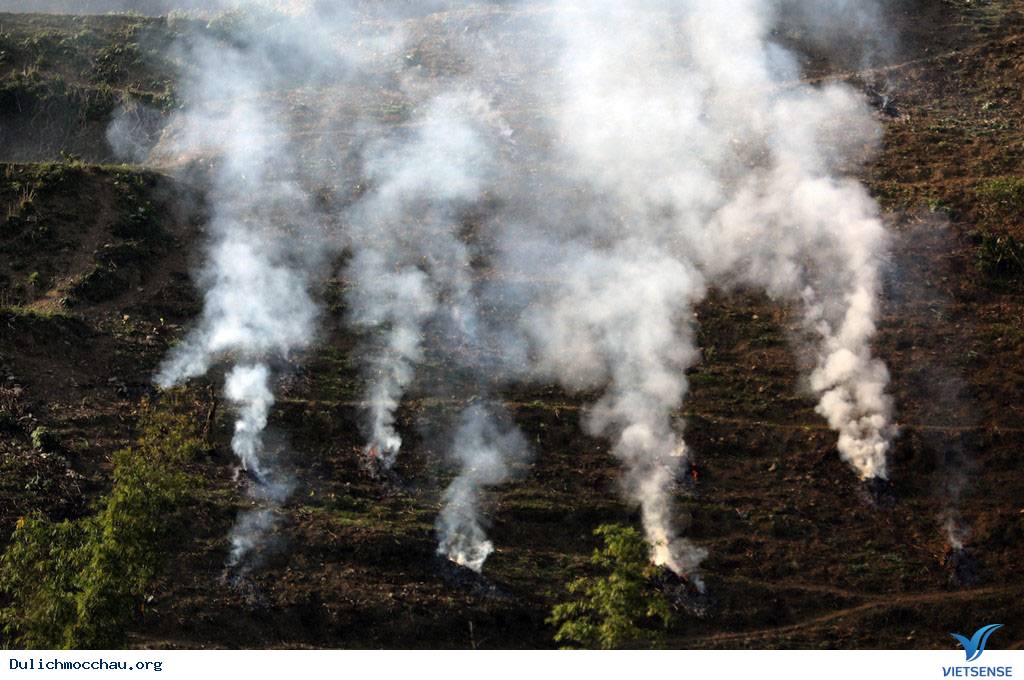 Cận Cạnh Mộc Châu Đẹp Như Mơ Những Ngày Đầu Xuân - Ảnh 14 Cận Cạnh Mộc Châu Đẹp Như Mơ Những Ngày Đầu Xuân - Ảnh 14