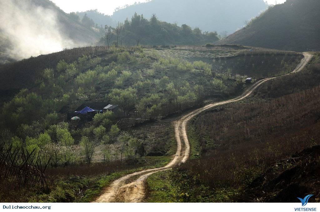 Cận Cạnh Mộc Châu Đẹp Như Mơ Những Ngày Đầu Xuân - Ảnh 1 Cận Cạnh Mộc Châu Đẹp Như Mơ Những Ngày Đầu Xuân - Ảnh 1