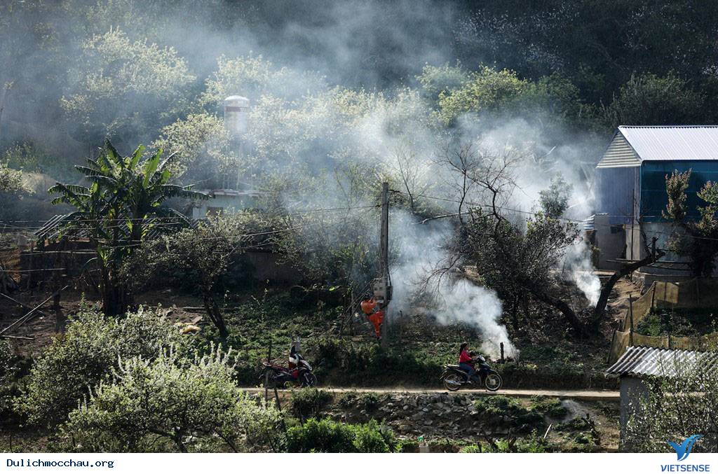Cận Cạnh Mộc Châu Đẹp Như Mơ Những Ngày Đầu Xuân - Ảnh 13 Cận Cạnh Mộc Châu Đẹp Như Mơ Những Ngày Đầu Xuân - Ảnh 13