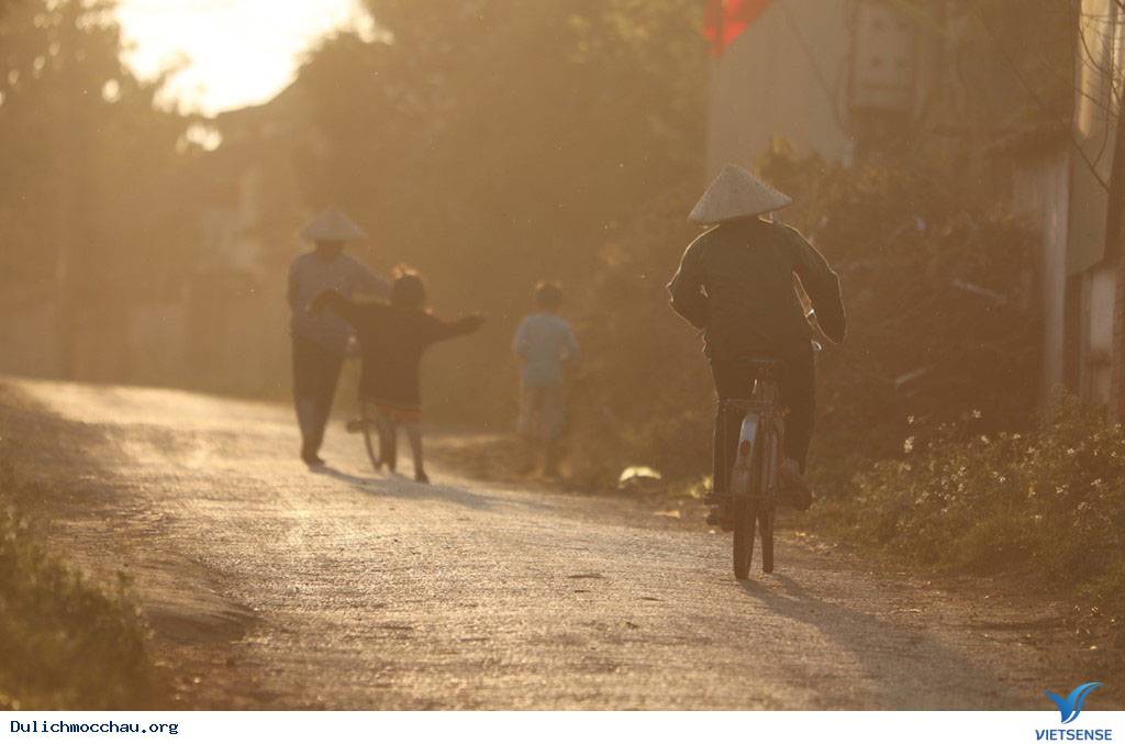 Cận Cạnh Mộc Châu Đẹp Như Mơ Những Ngày Đầu Xuân - Ảnh 15 Cận Cạnh Mộc Châu Đẹp Như Mơ Những Ngày Đầu Xuân - Ảnh 15