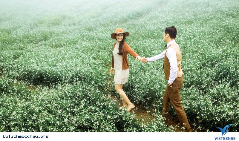 Cảnh đẹp Hoa Cải - Mộc Châu - Ảnh 9