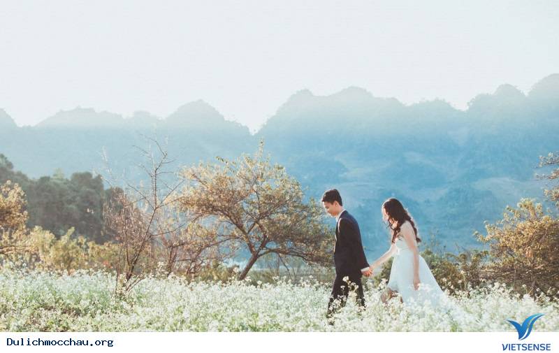 Cảnh đẹp Hoa Cải - Mộc Châu - Ảnh 12