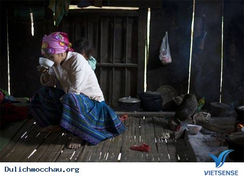 Cao Nguyên Mộc Châu Đẹp Mơ Màng - Ảnh 8