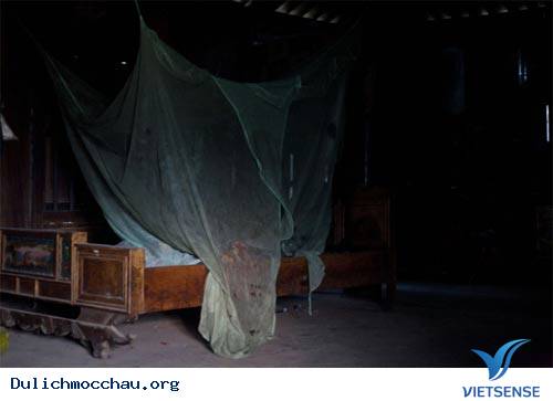 Cao Nguyên Mộc Châu Đẹp Mơ Màng - Ảnh 10