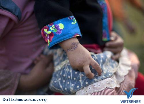 Cao Nguyên Mộc Châu Đẹp Mơ Màng - Ảnh 13