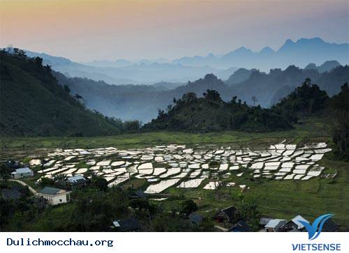 Cao Nguyên Mộc Châu Đẹp Mơ Màng - Ảnh 3