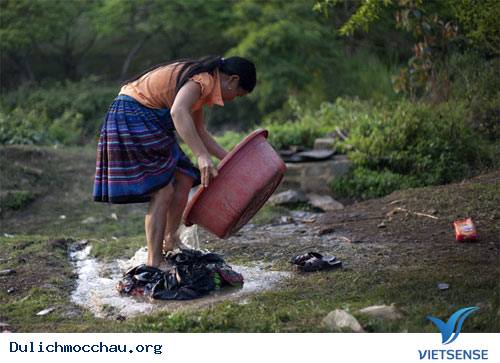 Cao Nguyên Mộc Châu Đẹp Mơ Màng - Ảnh 16